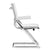 Ulisse OmD Plus Conference Chair